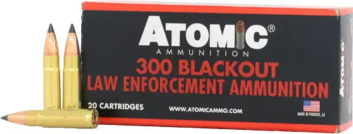 VARMAGEDDON 20RD 10BX/CSATOMIC 300 AAC 110GR - American Ordnance