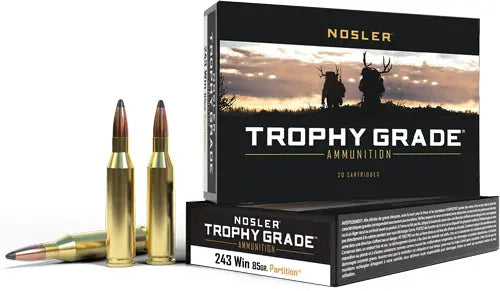 85GR PARTITION TIP 20RD 10BX/CNOSLER TROPHY GRADE 243 WIN - American Ordnance