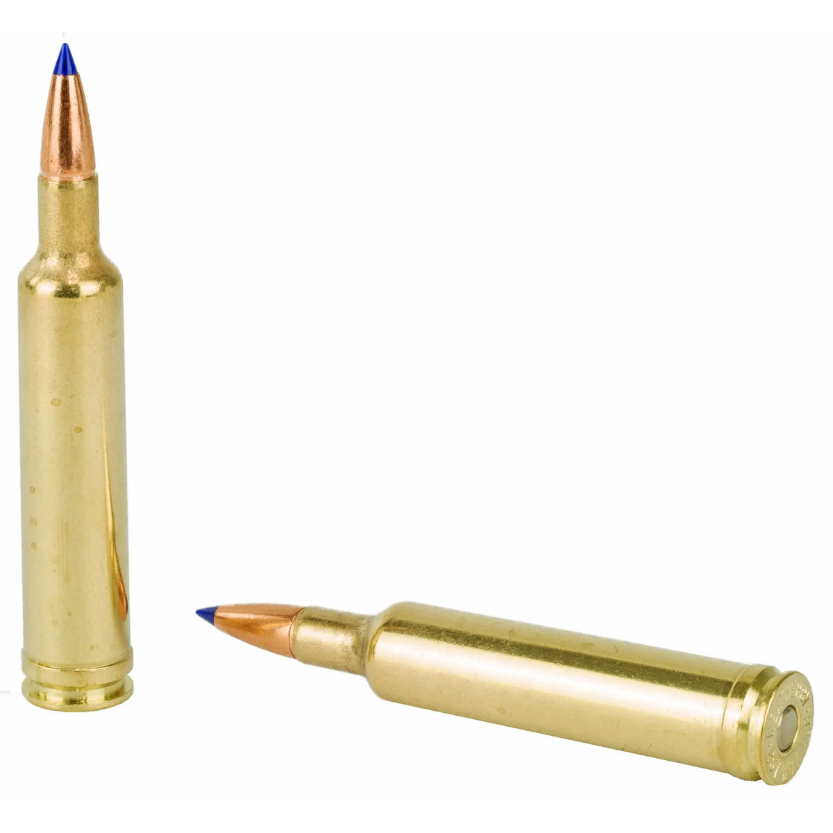 WBY AMMO 257WBY 100GR TTSX 20/200 - American Ordnance