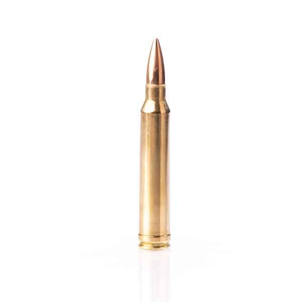 20RD 10BX/CSFIOCCHI 300 WIN MAG 190GR HPBT - American Ordnance