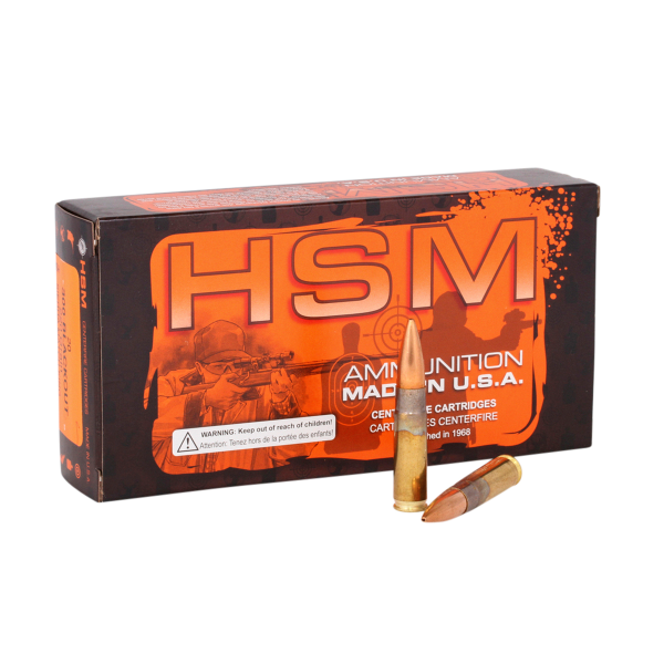 HSM 300 BLACKOUT 220GR SUBSONIC BTHP 20RD